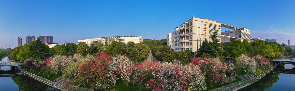 線上免費a片风景